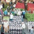 ارتفاع اسعار الخضار في سوق الجملة المركزي