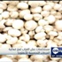 مستخلصات عش الغراب تعزز فعالية الجرعات التحصينية للأنفلونزا مستخلصات عش الغراب تعزز فعالية الجرعات التحصينية للأنفلونزا
