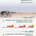 إيقاف 144 مخالفًا لنظام البيئة لارتكابهم مخالفات رعي إيقاف 144 مخالفًا لنظام البيئة لارتكابهم مخالفات رعي