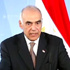 وزير الخارجية يشيد بالروح الوطنية للجاليات المصرية