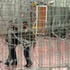 اهالي اسرى غزة يتوجهون لزيارة ابنائهم في سجن نفحة