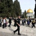 إسرائيليون يكتبون شعارات مسيئة لـ"النبي محمد" بالقدس