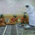 صورة لسعودي يصب القهوة لعمال نظافة الأكثر تداولا عبر " تويتر "