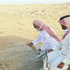 شاب سعودي يعيد أرانب برية إلى موطنها الأصلي
