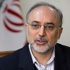 «صالحي»: إسرائيل لن تتجرأ على ضرب المنشآت الإيرانية