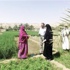 زيارة ميدانية لاختيار المستفيدات من مشروع القرى النموذجية لتربية الأبقار وإنتاج الحليب زيارة ميدانية لاختيار المستفيدات من مشروع القرى النموذجية لتربية الأبقار وإنتاج الحليب