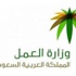 وزارة العمل توظف النساء لمراقبة الأسواق ومحال المستلزمات النسائية
