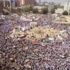إغلاق جميع مداخل ميدان التحرير ولجان شعبية لمنع اندساس المخربين إغلاق جميع مداخل ميدان التحرير ولجان شعبية لمنع اندساس المخربين