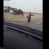 مالك إبل يجبر المارة على الوقوف تحت تهديد السلاح