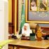 الشورى لـ"الغذاء والدواء": ضعوا إستراتيجية وطنية للأمن الدوائي