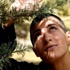 فسيفساء مهرجان القاهرة السينمائي الدولي