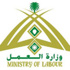 وزير العمل يصدر قرارا بتشكيل لجنة التوطين