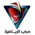 دبي الرياضية تقدم باقة متنوعة من البرامج لـ"خليجي21"
