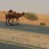 جمال على الطريق