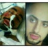 غيرة أسد على بنات بلده.. أدخلته العناية المركزة غيرة أسد على بنات بلده.. أدخلته العناية المركزة