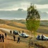 الفيلم التركي حدث ذات مرة في الأناضول في شومان بعد غد الثلاثاء (مصور) الفيلم التركي حدث ذات مرة في الأناضول في شومان بعد غد الثلاثاء (مصور)
