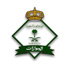 الجوازات تشارك في رالي حائل الدولي 2014
