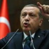 أردوغان يؤكد أن بلاده ستتجه إلى إنتخابات مبكرة