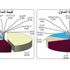 «الاستثمارات»: السوق عوَّض نصف خسائره السابقة وارتفع بنفس حدة الانخفاض