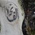 اللواء الرجوب ينعى والد مدرب حراس المرمى عنان وليد