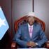 سفير الصومال: الإغاثة الإماراتية خففت من الخسائر البشرية لتفجير مقديشو