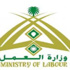 وزارة العمل: «خدمة أجير» تحسين للعمالة النظامية وتخفيض للعمالة السائبة