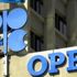 سعر سلة خامات أوبك يستقر عند 61.48 دولار للبرميل سعر سلة خامات أوبك يستقر عند 61.48 دولار للبرميل