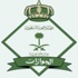 الجوازات تبدأ خطة لمعالجة أوضاع أبناء السعوديات