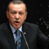 رئاسة مصر: إردوغان محدود الثقافة وعليه أن يصمت