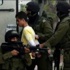 الاحتلال يعتقل 13 فلسطينيا في الضفة الغربية