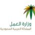 وزير العمل: لا نية لتمديد فترة التصحيح وزير العمل: لا نية لتمديد فترة التصحيح