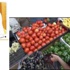 أنس الصالح: متخوفون.. من الإشعاعات السورية