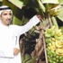 جنة فواكه... على تراب الكويت