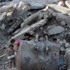 واشنطن : خطوة الفلسطينيين ضد إسرائيل لدى المحكمة الجنائية "ستأتي بنتائج عكسية"