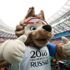مونديال روسيا يحقق أرباحا قياسية للفيفا مونديال روسيا يحقق أرباحا قياسية للفيفا