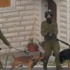 طفل فلسطيني يروي تجربته مع الكلاب الإسرائيلية