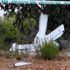 مقتل شخصين بعد تحطم طائرتين شراعيتين في مونسترلاند غربي ألمانيا