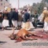 قال إن الاعتذار بذبح ثور لا يعني احترام سلطة الدولة..: الوزير الوجيه يرفض الهجر القبلي وتدخل الرئيس يرفع إضراب المالية قال إن الاعتذار بذبح ثور لا يعني احترام سلطة الدولة..: الوزير الوجيه يرفض الهجر القبلي وتدخل الرئيس يرفع إضراب المالية