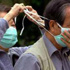 اكتشاف فيروس أنفلونزا الطيور فى 5 عينات من مناطق بشرق الصين
