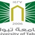 جامعة تبوك تنجز سبعة مشروعات بحثية جامعة تبوك تنجز سبعة مشروعات بحثية
