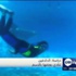 دراسة: الدلافين تنادي بعضها بالاسم
