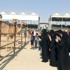الإماراتيات فخورات بمشاركتهن في مهرجان الظفرة