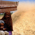 مصر تشترى 120 ألف طن من القمح الرومانى والروسى