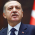 مسؤول في حماس: أرودغان يزور غزة مايو المقبل