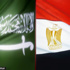نقابة الأطباء : الإفراج عن آخر الأطباء المعتقلين في السعودية نقابة الأطباء : الإفراج عن آخر الأطباء المعتقلين في السعودية