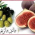 علماء يابنيون يسلمون بسبب.. التين والزيتون