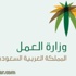 العمل : بدء التطبيق الإلزامي لبرنامج حماية الأجور بنهاية شوال الحالي