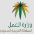 العمل تصر على إظهار أسماء المشتكين
