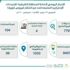تنفيذ 779 جولة رقابية وتحرير 39 مخالفة للتدابير الصحية بالشرقية
