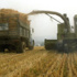 الأمطار ترجئ حصاد القمح في روسيا وترفع أسعاره